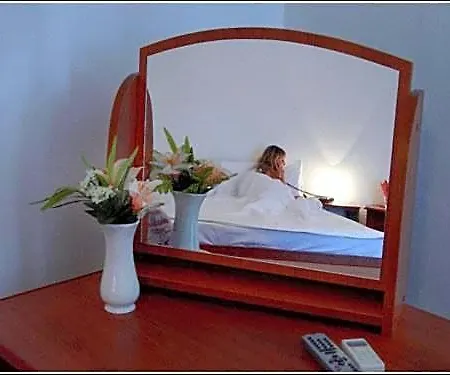 Casa Alesiv 3* Kolozsvár