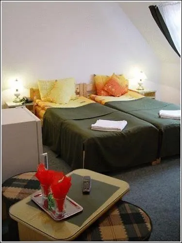 Casa Alesiv Hotel 3*